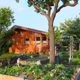 Naturnah gärtnern - wie geht das?