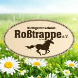 Kinder- und Sommerfest